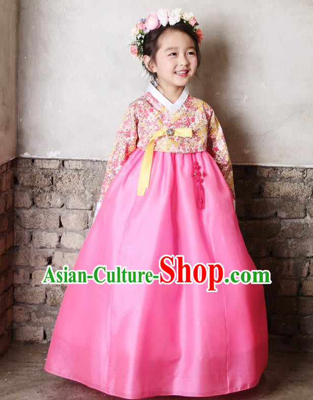 Asian Korean National Traditional Handmade Formal Occasions Girls Embroidery Hanbok Costume Printing Blouse and Pink Dress Complete Set for Kids