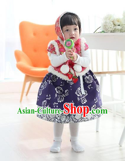 Asian Korean National Traditional Handmade Formal Occasions Girls Embroidery Hanbok Costume Pink Vest and Blue Dress Complete Set for Kids