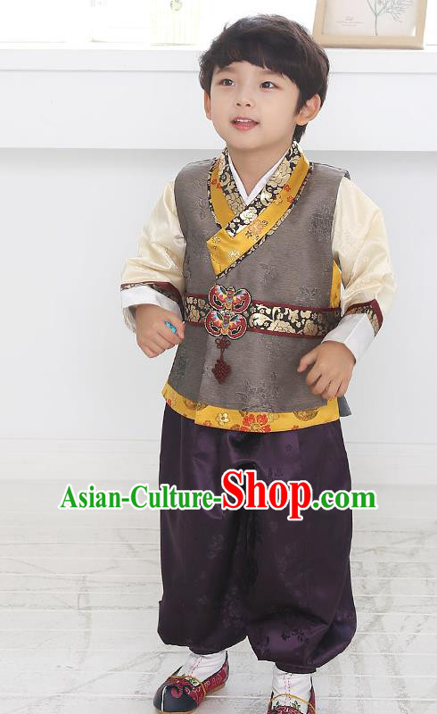 Asian Korean National Traditional Handmade Formal Occasions Boys Embroidery Grey Hanbok Costume Complete Set for Kids