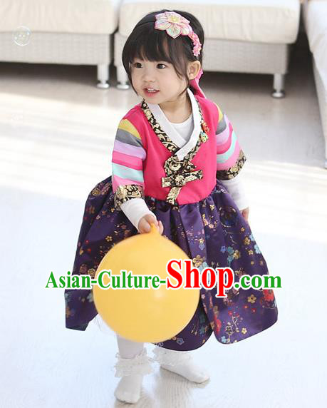 Traditional Korean National Handmade Formal Occasions Girls Embroidery Hanbok Costume Pink Blouse and Purple Dress Complete Set for Kids
