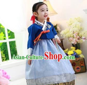 Korean National Handmade Formal Occasions Embroidered Blue Blouse and Dress, Asian Korean Girls Palace Hanbok Costume for Kids