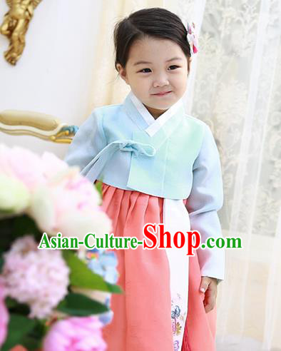 Asian Korean National Handmade Formal Occasions Wedding Clothing Blue Blouse and Pink Dress Palace Hanbok Costume for Kids