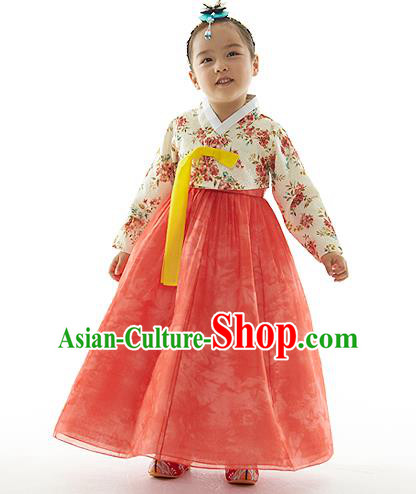 Asian Korean National Handmade Formal Occasions Printing Blouse and Pink Dress Palace Hanbok Costume for Kids