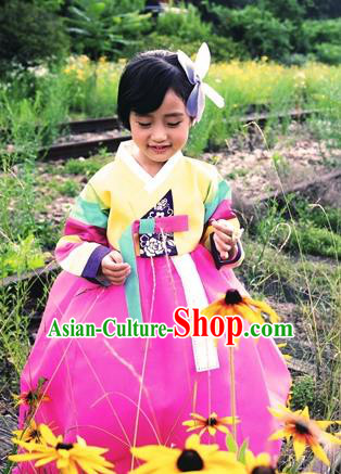Asian Korean National Handmade Formal Occasions Wedding Bride Clothing Embroidered Yellow Blouse and Pink Dress Palace Hanbok Costume for Kids