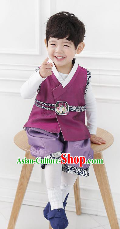 Asian Korean National Traditional Handmade Formal Occasions Boys Embroidery Purple Vest Hanbok Costume Complete Set for Kids