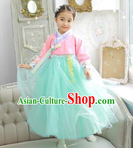 Asian Korean National Handmade Formal Occasions Wedding Girls Clothing Embroidered Pink Blouse and Green Veil Dress Palace Hanbok Costume for Kids