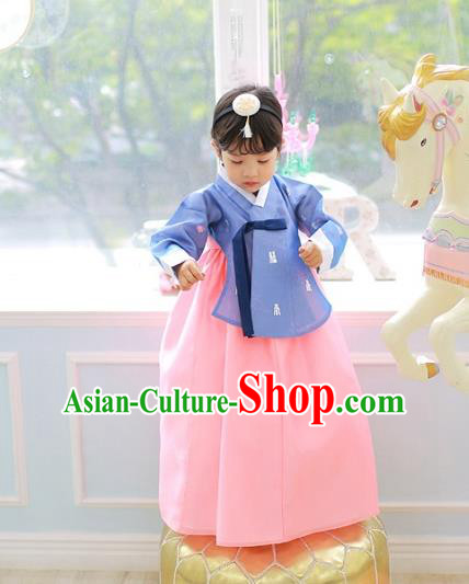 Korean National Handmade Formal Occasions Girls Clothing Palace Hanbok Costume Embroidered Blue Blouse and Pink Dress for Kids