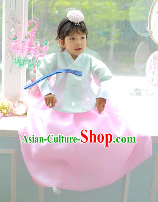Korean National Handmade Formal Occasions Girls Clothing Palace Hanbok Costume Embroidered Green Blouse and Pink Dress for Kids