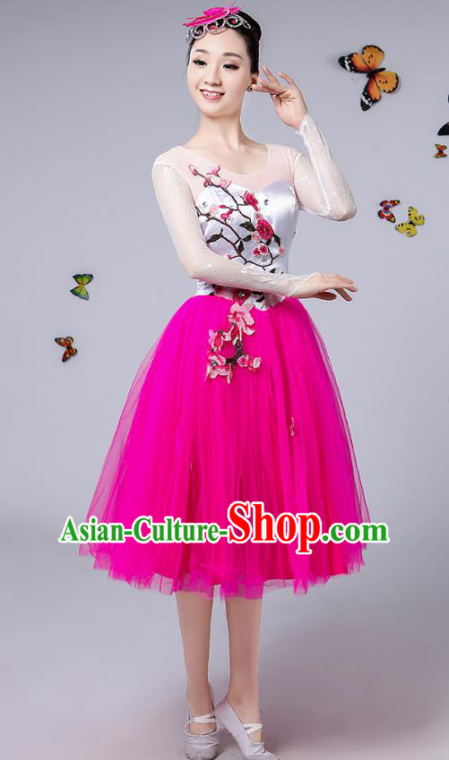 Traditional Chinese Modern Dance Opening Dance Clothing Chorus Rosy Veil Dress Costume for Women