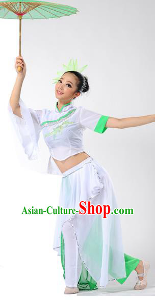 Traditional Chinese Yangge Fan Dancing Costume and Accessories