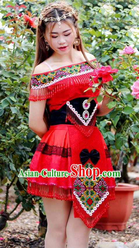 Traditional Chinese Miao Nationality Wedding Bride Costume, Hmong Folk Dance Ethnic Red Pleated Skirt, Chinese Minority Nationality Embroidery Clothing for Women
