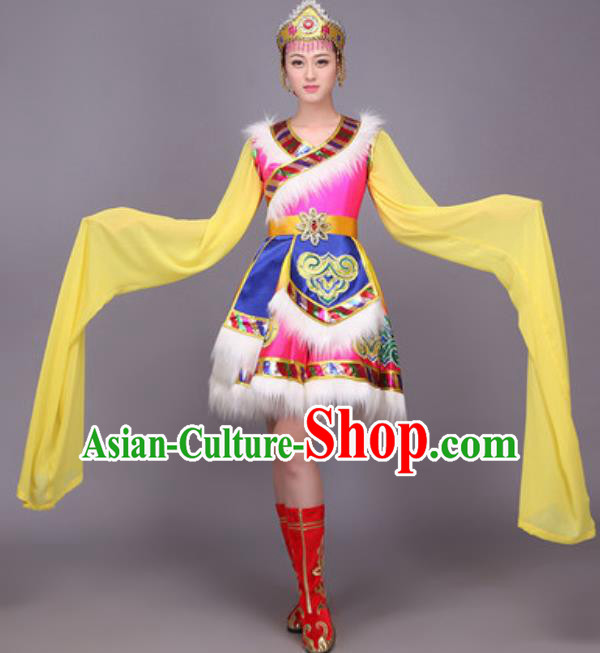Chinese Traditional Zang Nationality Dance Costume Tibetan Minority Folk Dance Dress for Women