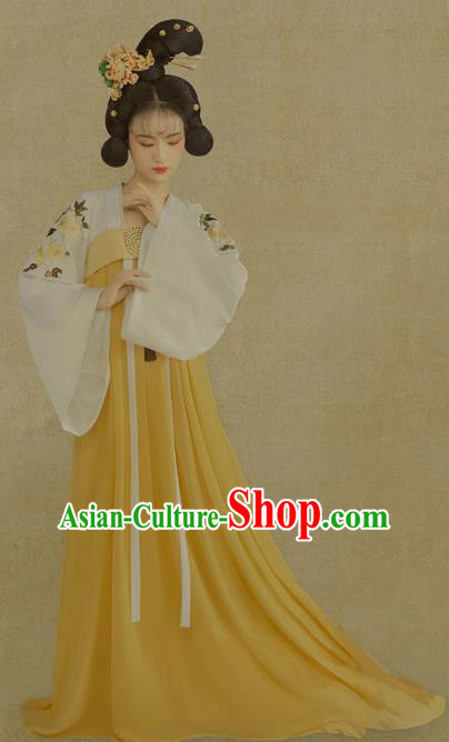 Traditional Chinese Tang Dynasty Palace Lady Costumes Ancient Fairy Hanfu Dress for Women