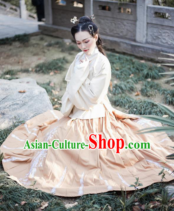 Chinese Ancient Ming Dynasty Princess Hanfu Dress Traditional Embroidered Costumes for Women