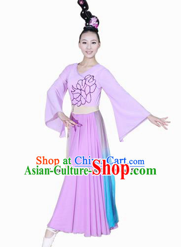 Chinese Traditional Folk Dance Lilac Dress Classical Dance Costume for Women