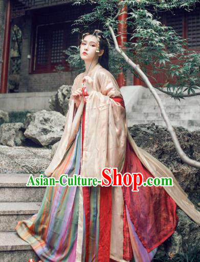 Ancient Traditional China Tang Dynasty Palace Imperial Concubine Embroidered Costumes Complete Set for Women