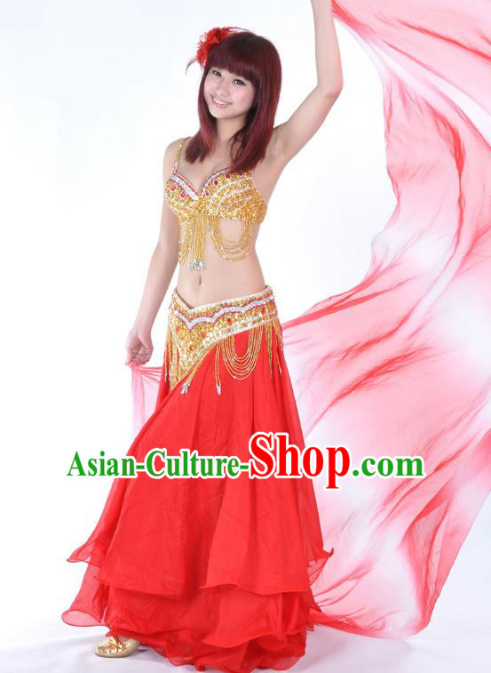 Traditional Asian Indian Belly Dance Costume Stage Performance India National Dance Dress Accessories Belts for Women
