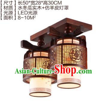 Traditional Chinese Handmade Two-Lights Lantern Wood Carving Lantern Ancient Palace Ceiling Lanterns
