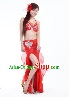 Traditional Indian Stage Oriental Dance Red Dress Belly Dance Costume for Women