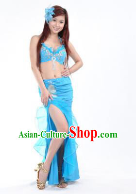 Traditional Indian Stage Oriental Dance Blue Dress Belly Dance Costume for Women