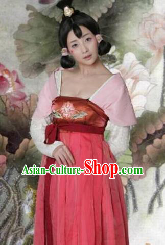 Ancient Chinese Tang Dynasty Palace Lady Wu Meiniang Hanfu Dress Replica Costume for Women