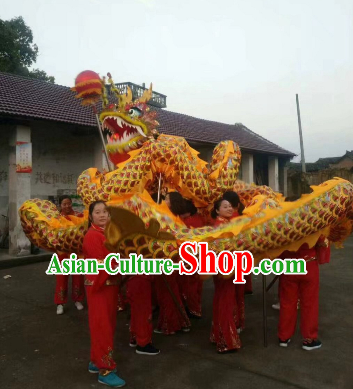 Chinese Classical Parade Procession Golden Dragon Dance Costumes Complete Set for 8 Adults or Kids