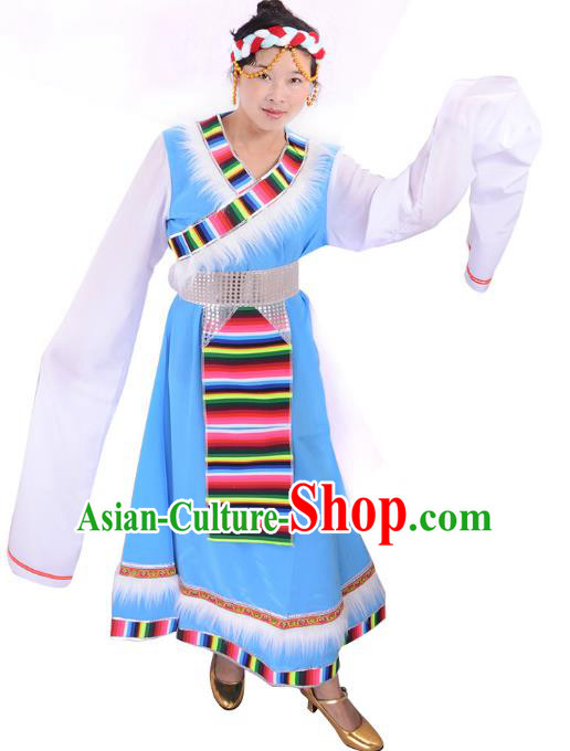 Traditional Chinese Zang Nationality Dance Costume, Tibetan Female Folk Dance Ethnic Minority Embroidery Blue Dress for Women