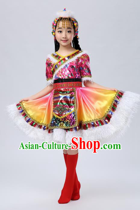 Traditional Chinese Mongol Nationality Dance Costume, Mongols Children Dance Ethnic Pleated Skirt for Kids