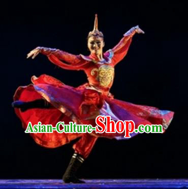 Traditional Chinese Folk Dance Embroidered Costume, China Mongol Nationality Dress Clothing for Women