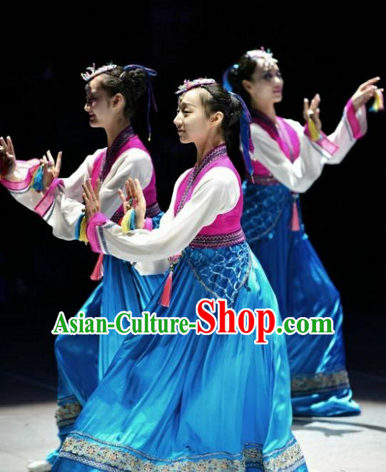 Traditional Chinese Classical Dance Costume, Folk Dance Minority Dance Clothing for Women