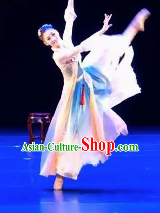 Chinese Traditional Folk Dance Costume Classical Dance Dress for Women