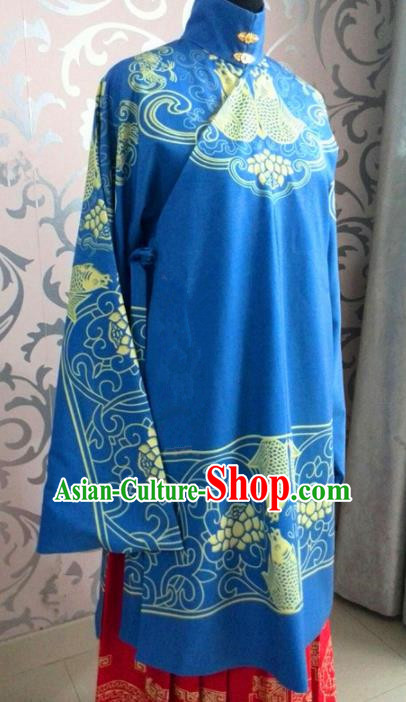 Traditional Chinese Ming Dynasty Costume Ancient Princess Embroidered Blue Robe for Women
