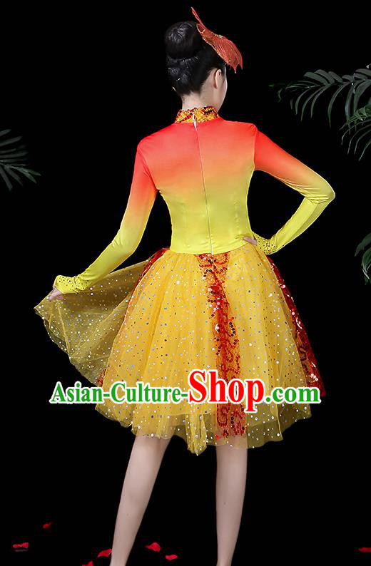 Traditional Chinese Fan Dance Folk Dance Costume Classical Yangko Dance Classical Dance Dress