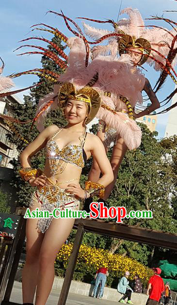 Brazilian Carnival Parade Catwalks Stage Show Samba Costumes and Feather Headwear for Women