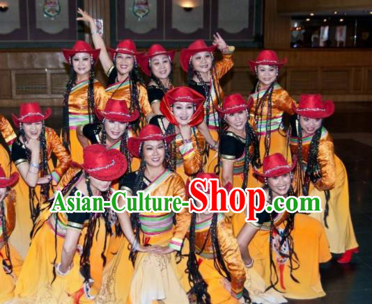Chinese Traditional Classical Dance Costumes Tibetan Dance Stage Performance Dress for Women