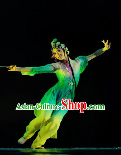 Chinese Traditional Beijing Opera Group Dance Costumes Classical Dance Stage Performance Dress for Women
