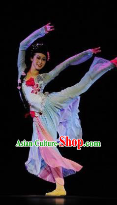 Chinese Traditional Classical Dance Costumes Stage Performance Folk Dance Dress for Women