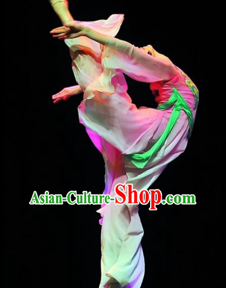 Chinese Traditional Classical Dance Group Dance Pink Costumes Stage Performance Dress for Women