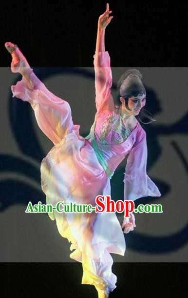 Chinese Traditional Folk Dance Group Dance Stage Performance Costumes Peking Opera Dress for Women