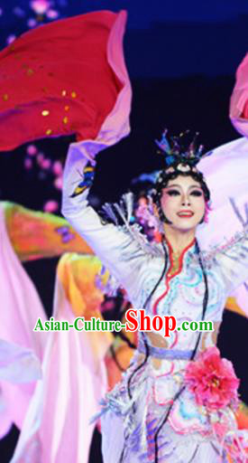 Traditional Chinese Classical Dance Competition Costumes Beijing Opera Group Dance Stage Show Dress for Women
