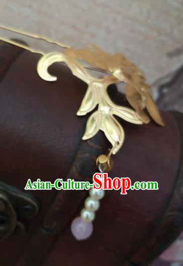 Chinese Traditional Princess Tassel Golden Hairpins Ancient Court Lady Hair Accessories for Women
