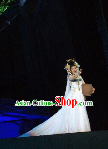 Chinese Chang E The Goddess of The Moon Dance White Dress Stage Performance Costume and Headpiece for Women