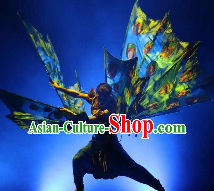 Chinese Dynamic Yunnan Ethnic Peacock Dance Stage Performance Costume for Men