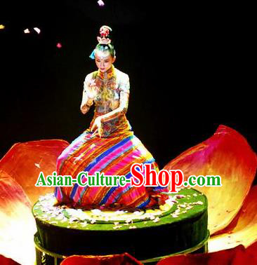 Chinese Impression Tibetan Zang Nationality Folk Dance Dress Yang Liping Stage Performance Costume and Headpiece for Women