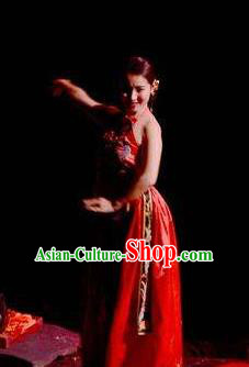 Chinese Dreaming In Hometown Classical Dance Red Dress Stage Performance Costume and Headpiece for Women