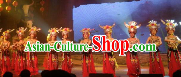Chinese Charm Xiangxi Miao Nationality Dance Dress Stage Performance Costume and Headpiece for Women