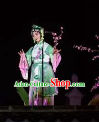 Chinese The Dream Of The Peony Pavilion Opera Maidservant Dance Green Dress Stage Performance Costume and Headpiece for Women