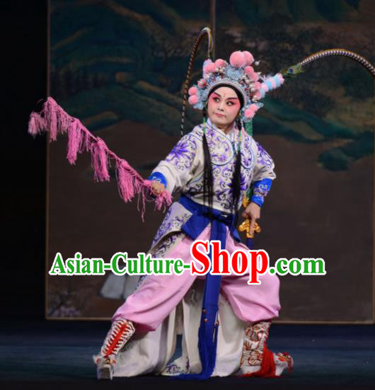Bai Tu Ji Traditional Chinese Shaoxing Opera Takefu General Stage Performance Costumes and Headwear for Men