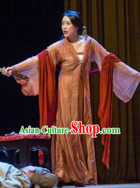 Chinese I Love Taohua Classical Dance Brown Dress Stage Performance Costume and Headpiece for Women