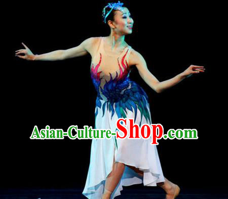 Chinese Female Embroider Classical Dance Dress Stage Performance Costume and Headpiece for Women